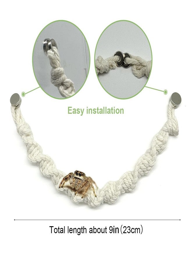 Julang 2 Pack Jumping Spider Rope Bridge Swings, Natural Cotton Rope Handmade Magnetic Mounting Jumping Spider Accessories for Medium Jumping Spider Enclosure - Image 3